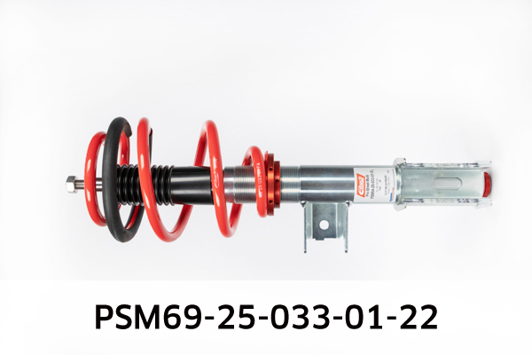 EIBACH PSM69-25-033-01-22 Pro-Street-Multi Fahrwerkssatz, Federn/Dämpfer
