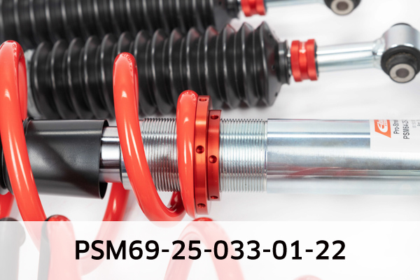 EIBACH PSM69-25-033-01-22 Pro-Street-Multi Fahrwerkssatz, Federn/Dämpfer