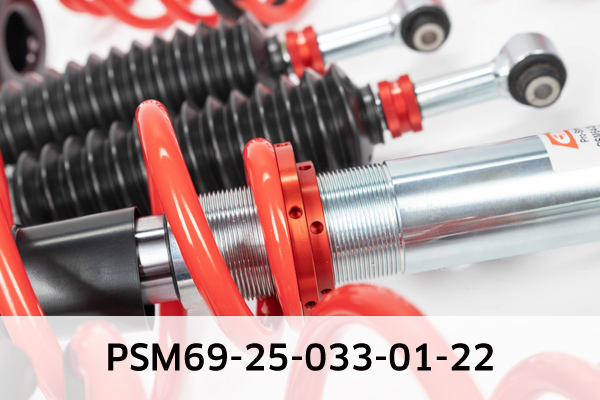 EIBACH PSM69-25-033-01-22 Pro-Street-Multi Fahrwerkssatz, Federn/Dämpfer