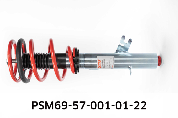 EIBACH PSM69-57-001-01-22 Pro-Street-Multi Fahrwerkssatz, Federn/Dämpfer