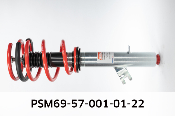EIBACH PSM69-57-001-01-22 Pro-Street-Multi Fahrwerkssatz, Federn/Dämpfer