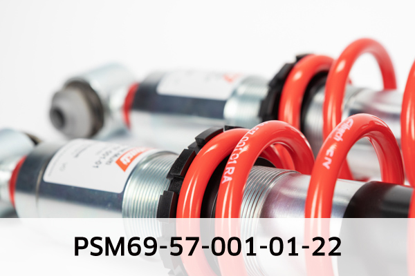 EIBACH PSM69-57-001-01-22 Pro-Street-Multi Fahrwerkssatz, Federn/Dämpfer