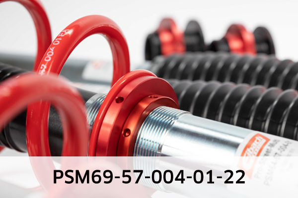 EIBACH PSM69-57-004-01-22 Pro-Street-Multi Fahrwerkssatz, Federn/Dämpfer