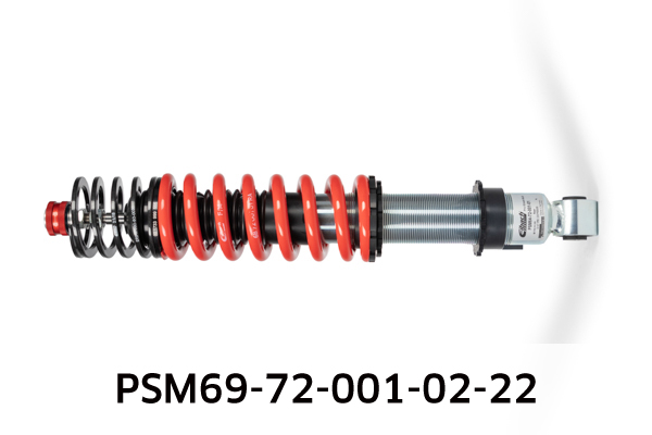 EIBACH PSM69-72-001-02-22 Pro-Street-Multi Fahrwerkssatz, Federn/Dämpfer