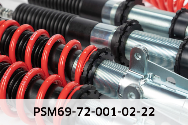 EIBACH PSM69-72-001-02-22 Pro-Street-Multi Fahrwerkssatz, Federn/Dämpfer