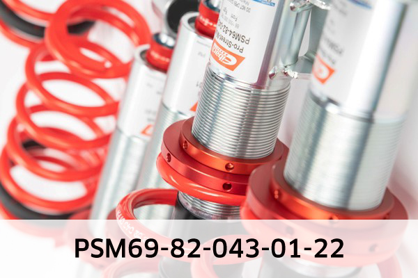 EIBACH PSM69-82-043-01-22 Pro-Street-Multi Fahrwerkssatz, Federn/Dämpfer