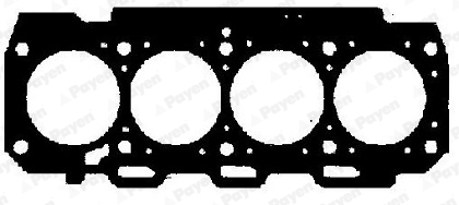 PAYEN AA5581 Guarnizione,...