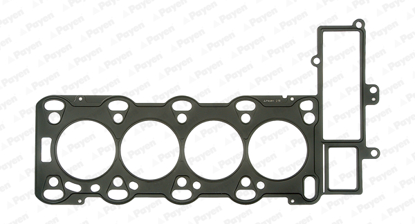 PAYEN AB5670 Guarnizione,...