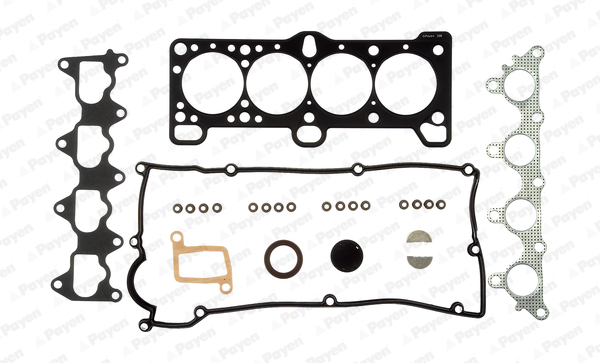 PAYEN CG8290 комплект...