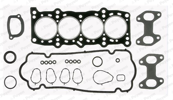 PAYEN DP286 Kit...