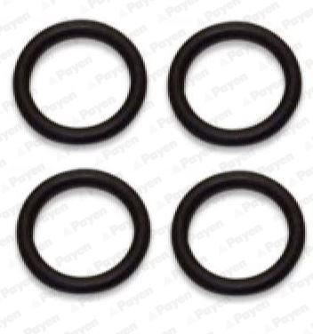 PAYEN HA5031 Kit...