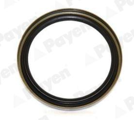PAYEN NJ737 tömítőgyűrű,...