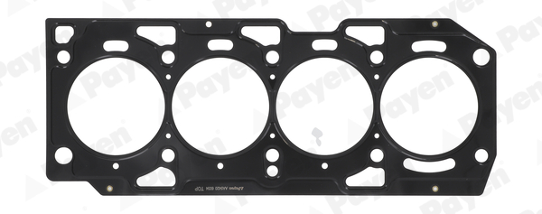 PAYEN AA5420 Φλάντζα, κεφαλή κυλίνδρου for ALFA ROMEO FIAT LANCIA