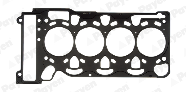 PAYEN AC5440 Φλάντζα, κεφαλή κυλίνδρου for BMW BMW (BRILLIANCE)