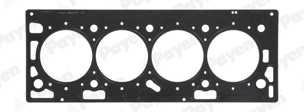 PAYEN AE5930 Φλάντζα, κεφαλή κυλίνδρου for FIAT OPEL VAUXHALL