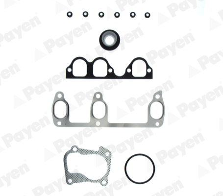 PAYEN CD5650 Σετ στεγανοπ.,...