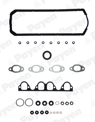 PAYEN DV850 Σετ στεγανοπ., κυλινδροκεφαλή for AUDI MOSKVICH MULTICAR SEAT SKODA VW