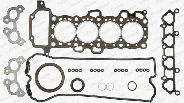 PAYEN DY900 Σετ στεγανοπ., κυλινδροκεφαλή for MITSUOKA NISSAN