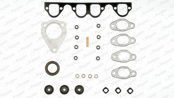 PAYEN DZ010 Σετ στεγανοπ., κυλινδροκεφαλή for AUDI MULTICAR SEAT SKODA VW VW (FAW)