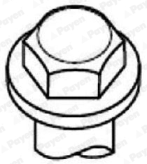 PAYEN HBS529 Σετ βίδες κυλινδροκεφαλής for CHEVROLET DAEWOO