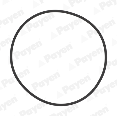 PAYEN HL5383 Σετ στεγανοπ.,...