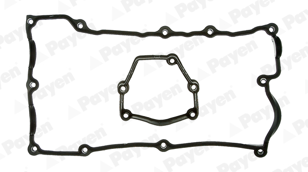 PAYEN HM5160 Σετ στεγανοπ., κάλ. κυλινδροκεφαλής for BMW