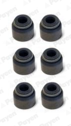 PAYEN HR5075 Seal Set, valve stem for BYD CHANGAN CHANGHE CHEVROLET CHEVROLET (SGMW) DAEWOO FIAT FSO GEO HYUNDAI MARTIN MOTORS M