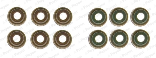 PAYEN HR5131 Σετ στεγανοπ.,...