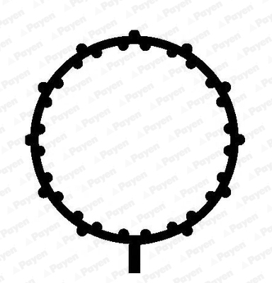 PAYEN JD5838 Τσιμούχα, πολλαπλή εισαγωγής for HONDA