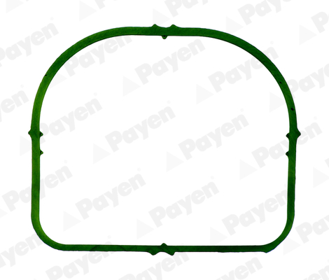 PAYEN JD6024 Τσιμούχα, πολλαπλή εισαγωγής for BMW