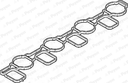 PAYEN JD6067 Τσιμούχα, πολλαπλή εισαγωγής for AUDI SEAT SKODA VW