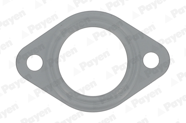 PAYEN JD6149 Τσιμούχα, πολλαπλή εξαγωγή for ALFA ROMEO FIAT LANCIA