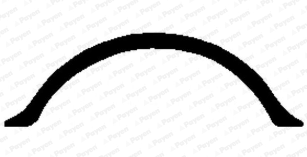 PAYEN JH5198 Φλάντζα, λεκάνη λαδιού for MAZDA