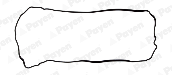 PAYEN JM7106 Φλάντζα, κάλυμμα κυλινδροκεφαλής for LEXUS TOYOTA