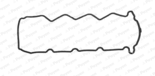 PAYEN JM7189 Φλάντζα, κάλυμμα κυλινδροκεφαλής for NISSAN
