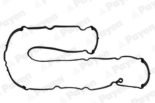 PAYEN JM7213 Φλάντζα, κάλυμμα κυλινδροκεφαλής for FORD FORD (CHANGAN) FORD AUSTRALIA VOLVO