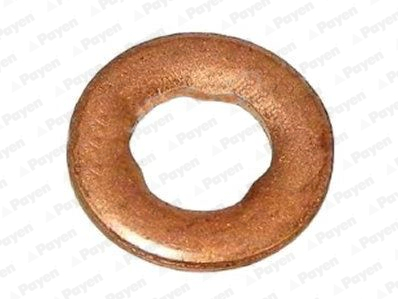 PAYEN KG5339 Heat Shield, injection system for CHRYSLER DODGE FORCE FREIGHTLINER JEEP MERCEDES-BENZ MERCEDES-BENZ (FJDA) MITSUBI