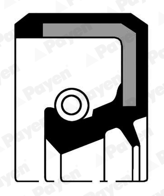 PAYEN NA5271 Τσιμούχα, αντλία λαδιού for OPEL VAUXHALL
