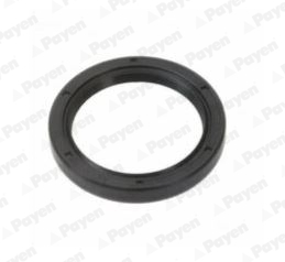 PAYEN NA5282 Shaft Seal, crankshaft for TOYOTA