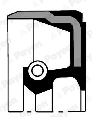 PAYEN NA5299 Shaft Seal, crankshaft for ALPINA BMW MINI ROSENBAUER TOYOTA