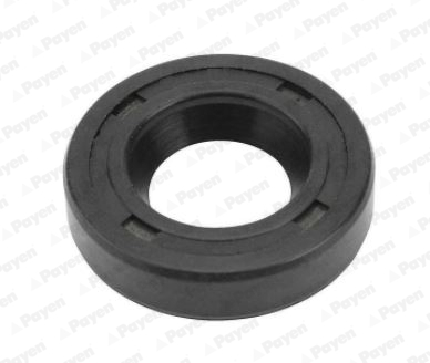 PAYEN NA5358 Τσιμούχα, αντλία ψεκασμού for VOLVO