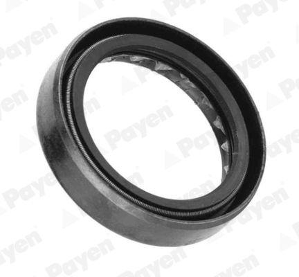 PAYEN NJ125 Shaft Seal, manual transmission inner for NISSAN