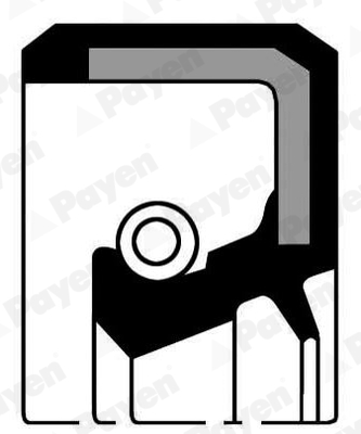 PAYEN NJ268 Τσιμούχα, στροφαλ. άξονας for BEDFORD DAIHATSU INNOCENTI PIAGGIO