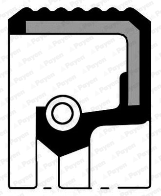 PAYEN NJ321 Shaft Seal, camshaft for BEDFORD ISUZU OPEL VAUXHALL