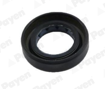 PAYEN NJ444 Τσιμούχα