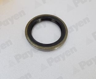 PAYEN NJ474 Τσιμούχα, πλήμνη Πίσω άξονας for ISUZU