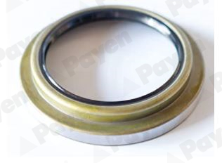 Shaft Seal, wheel hub