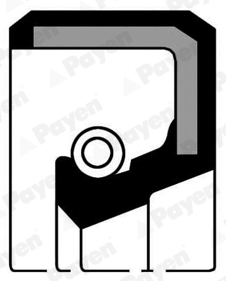 PAYEN NJ635 Φλάντζα, μηχανικό κιβώτιο ταχυτ. for NISSAN