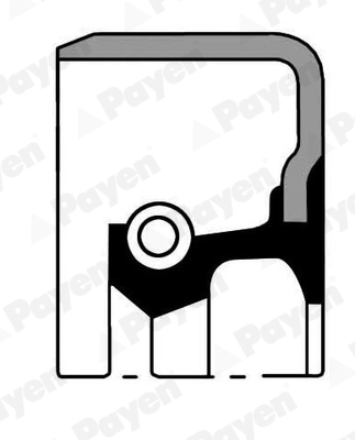 PAYEN NJ794 Τσιμούχα, μηχ. κιβ. ταχυτήτων πίσω for ISUZU