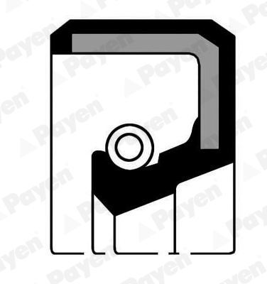 PAYEN NJ806 Τσιμούχα